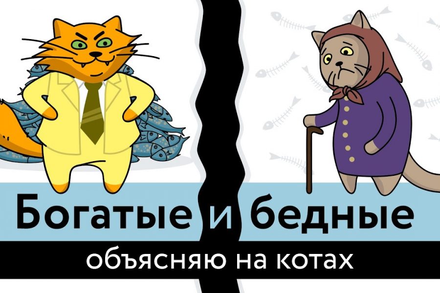 Богатые и бедные: объясняю на котах